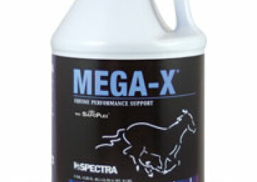 Mega X - the Best Iron and Multi Vitamin
