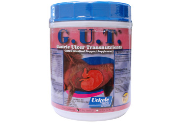 Ulcer Treatment