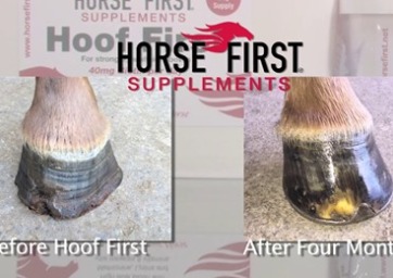 Hoof First