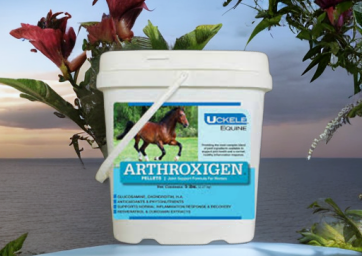 Solves Horses' Joint Issues, Relieves Pain & Improves Mobility.