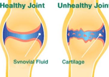 Keratin in Equine Joint Health