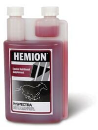 Hemion - Harness Racing