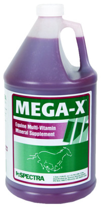 Mega-X - Wellbeing - Multi Vitamin