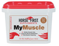 My Muscle - Thoroughbred Racing