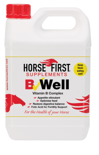 B Well - Horse First
