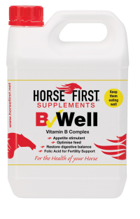 B Well - Thoroughbred Racing